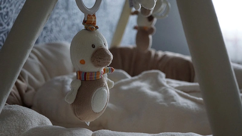 Ett babygym med ett gosedjur hängande från det.